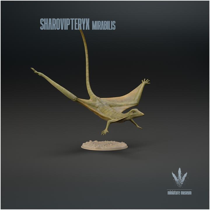 Sharovipteryx mirabilis : The Sharov's wing - UNPAINTED - Miniature Museum