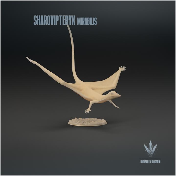 Sharovipteryx mirabilis : The Sharov's wing - UNPAINTED - Miniature Museum