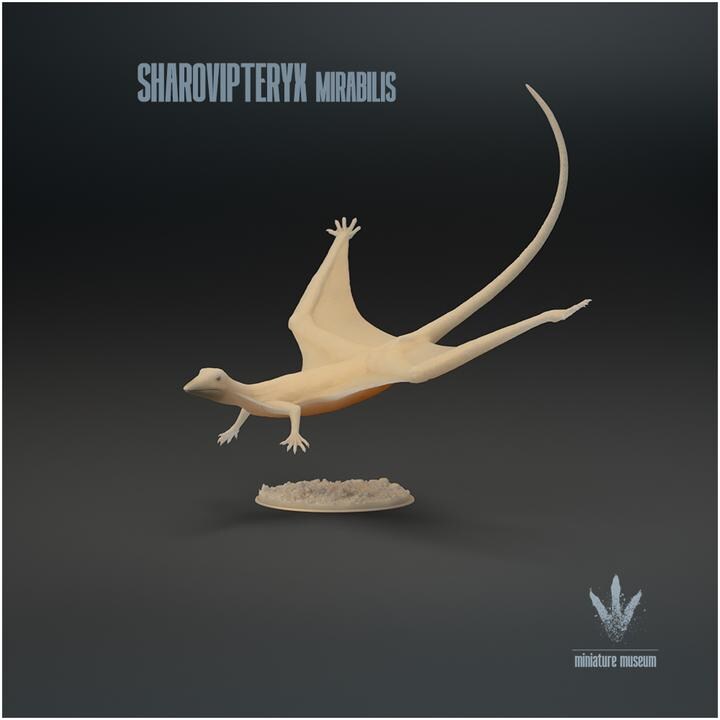 Sharovipteryx mirabilis : The Sharov's wing - UNPAINTED - Miniature Museum