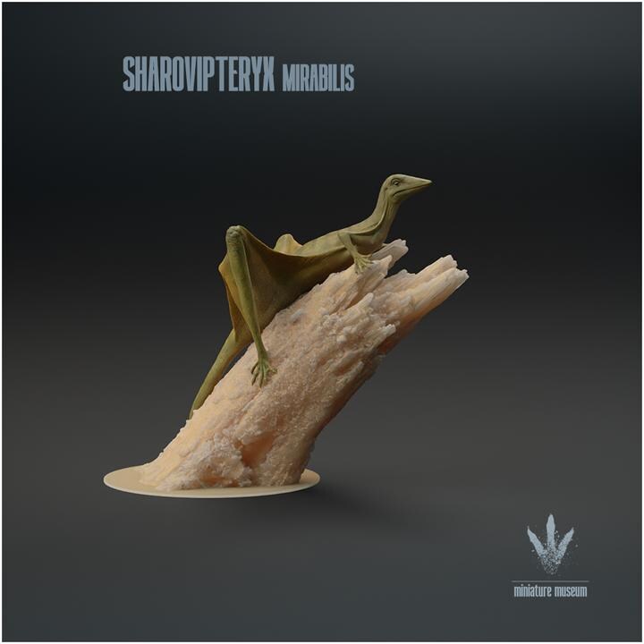 Sharovipteryx mirabilis - Landed - UNPAINTED - Miniature Museum