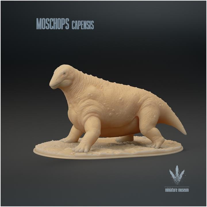 Moschops capensis : The Calf Face - UNPAINTED - Miniature Museum