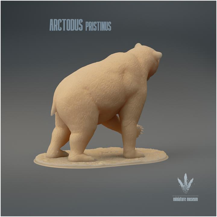 Arctodus pristinus : Attacking - UNPAINTED - Miniature Museum