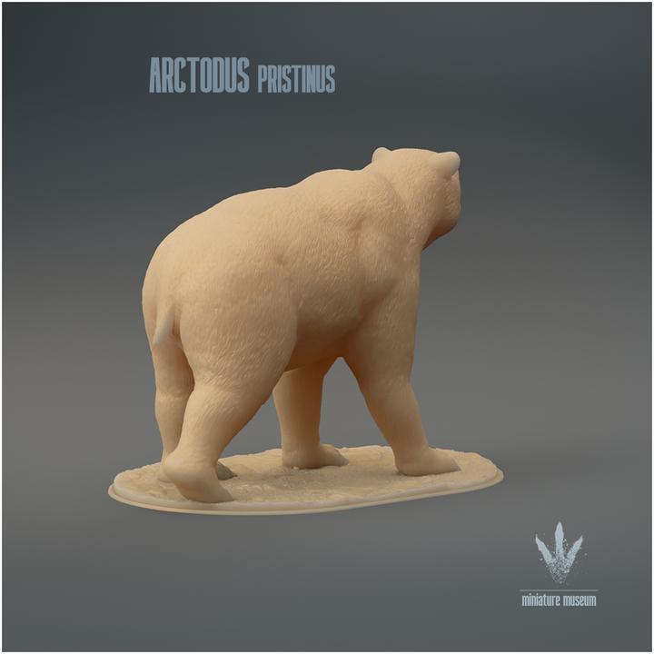 Arctodus pristinus - UNPAINTED - Miniature Museum