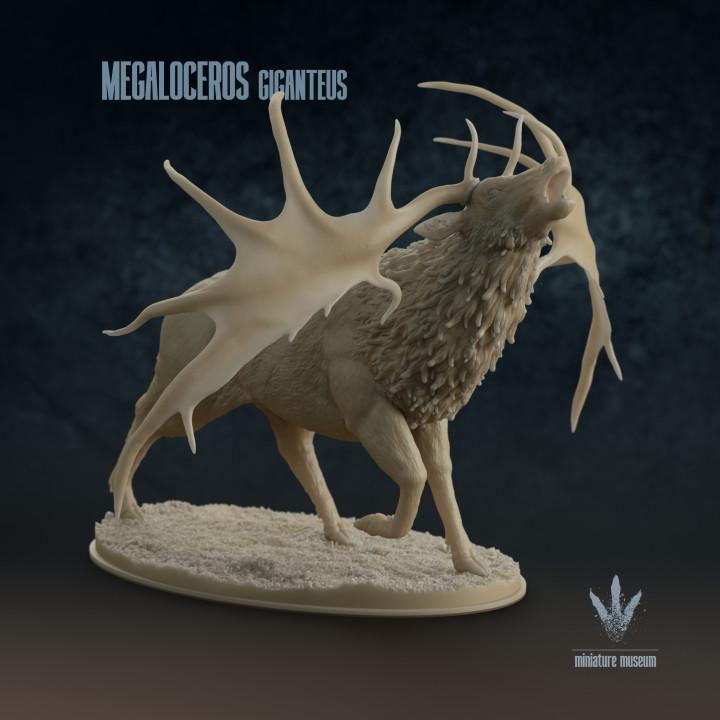 Megaloceros giganteus : Bellow - UNPAINTED - Miniature Museum