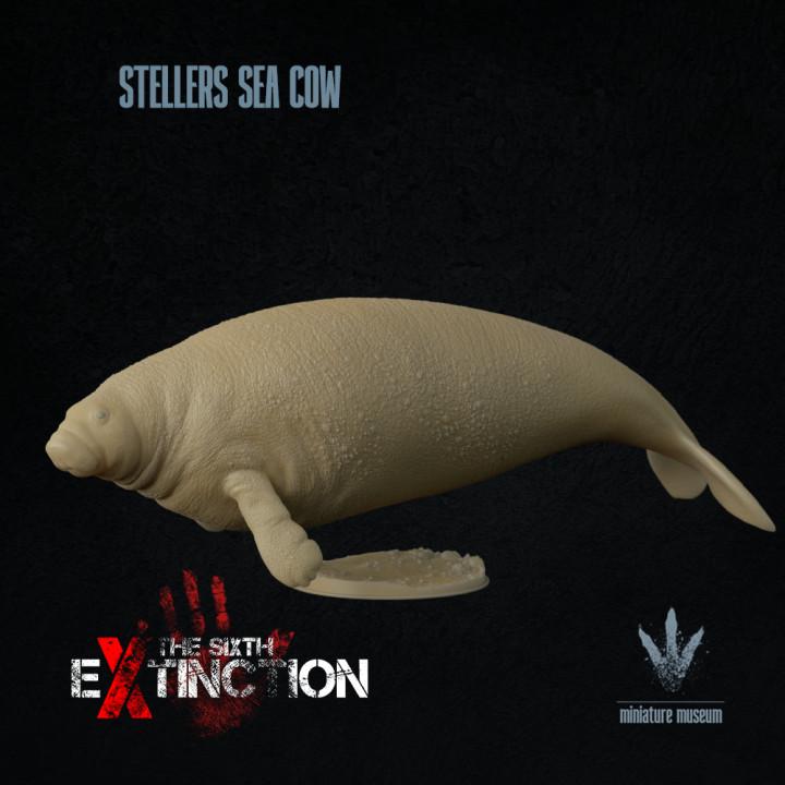 Steller's sea cow : Hydrodamalis gigas - UNPAINTED - Miniature Museum