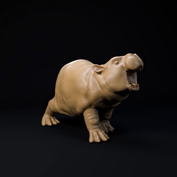 Baby pigmy hippo -UNPAINTED - Dino and Dog Miniatures