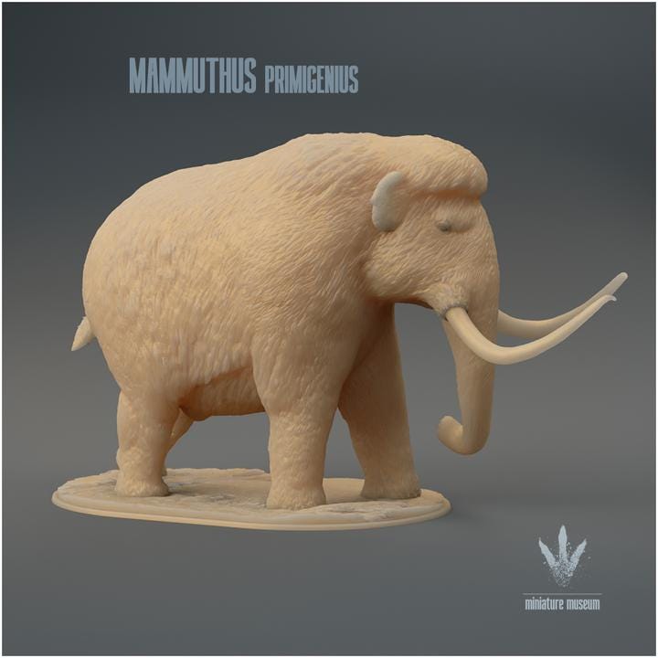 Mammuthus primigenius : The Woolly Mammoth - UNPAINTED - Miniature Museum