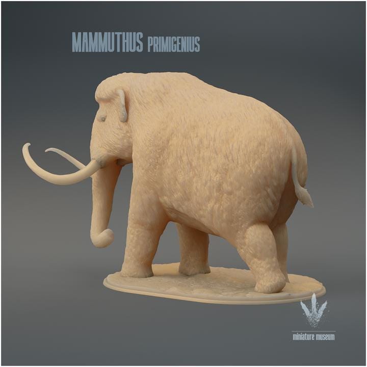 Mammuthus primigenius : The Woolly Mammoth - UNPAINTED - Miniature Museum