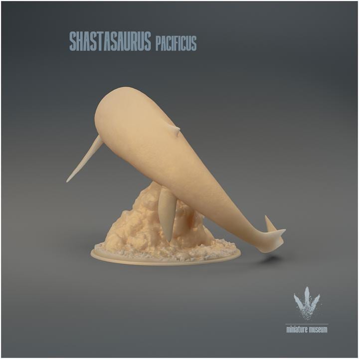 Shastasaurus pacificus : Swimming - UNPAINTED - Miniature Museum