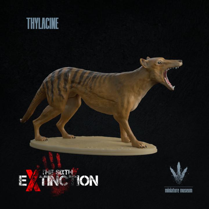 Thylacine : The Thylacine Snarl - UNPAINTED - Miniature Museum