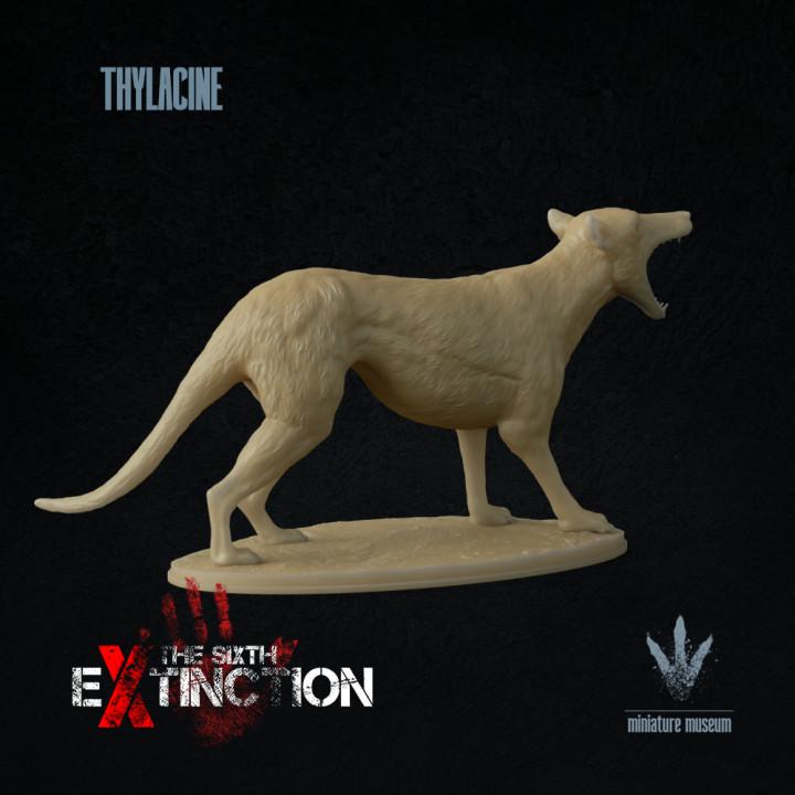 Thylacine : The Thylacine Snarl - UNPAINTED - Miniature Museum