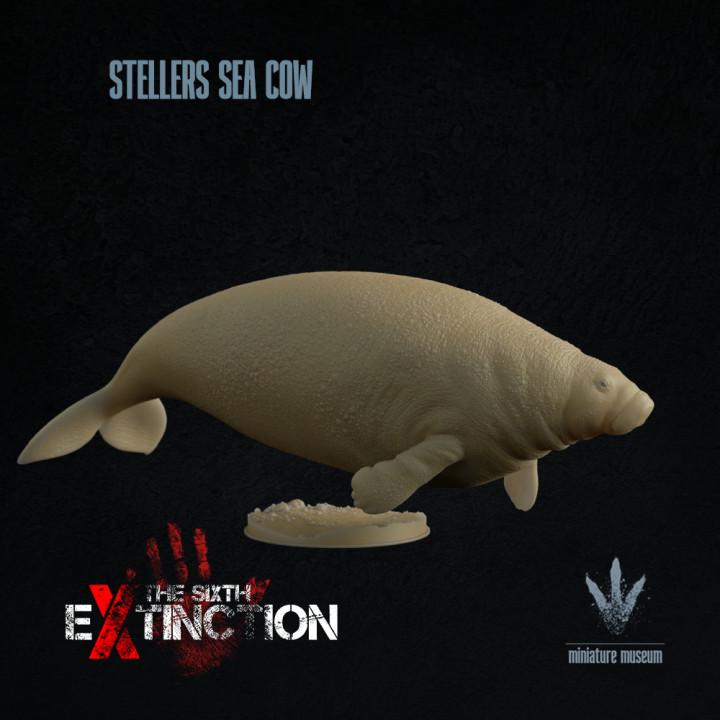 Steller's sea cow : Hydrodamalis gigas - UNPAINTED - Miniature Museum