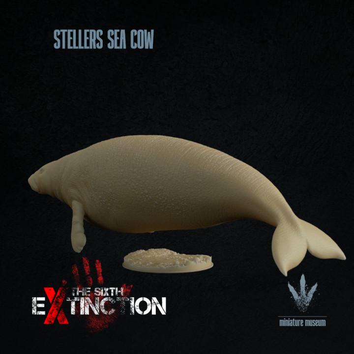 Steller's sea cow : Hydrodamalis gigas - UNPAINTED - Miniature Museum