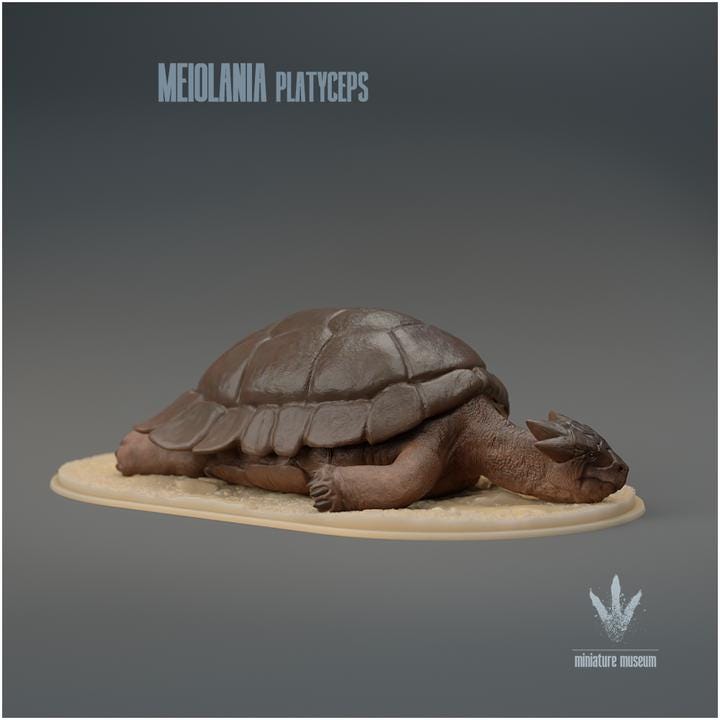 Meiolania platyceps : Resting - UNPAINTED - Miniature Museum