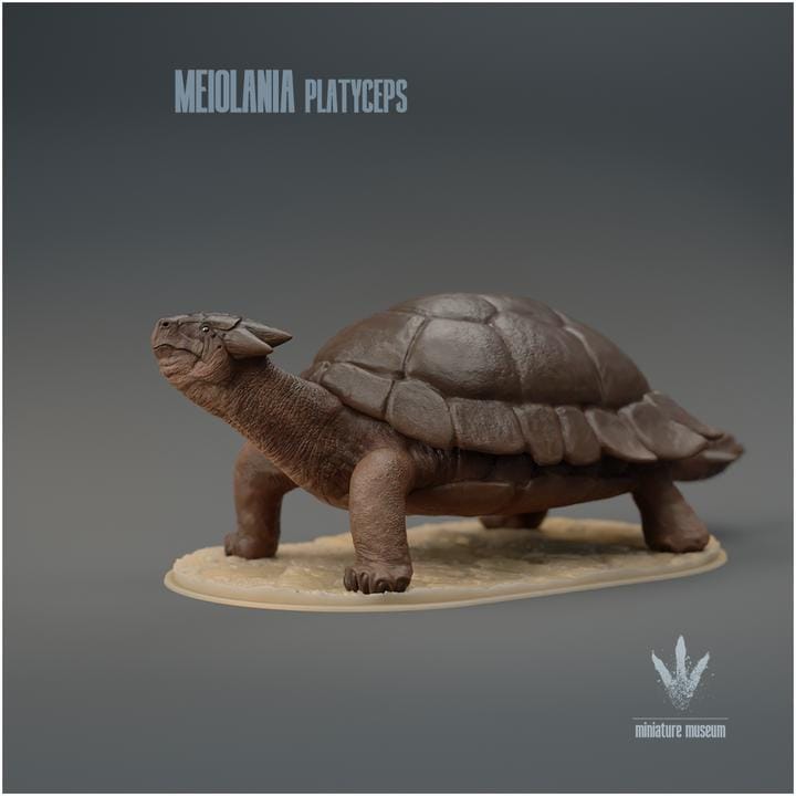 Meiolania platyceps : The Tank Turtle - UNPAINTED - Miniature Museum