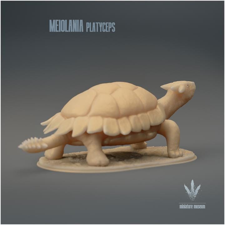 Meiolania platyceps : The Tank Turtle - UNPAINTED - Miniature Museum