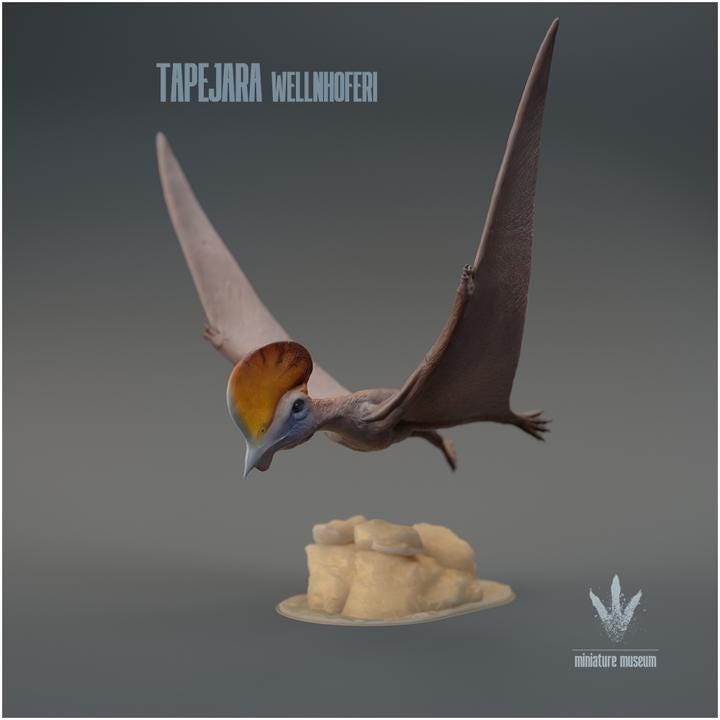 Tapejara wellnhoferi : Flying - UNPAINTED - Miniature Museum