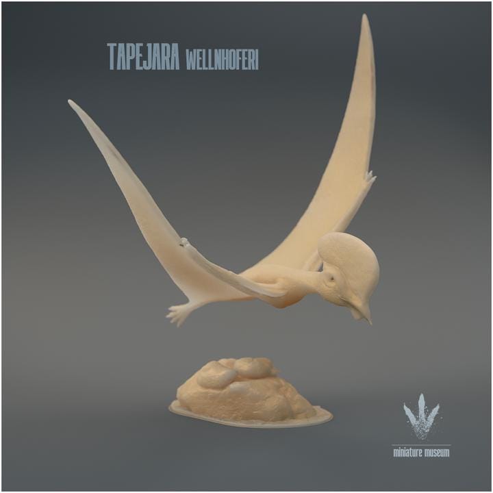 Tapejara wellnhoferi : Flying - UNPAINTED - Miniature Museum