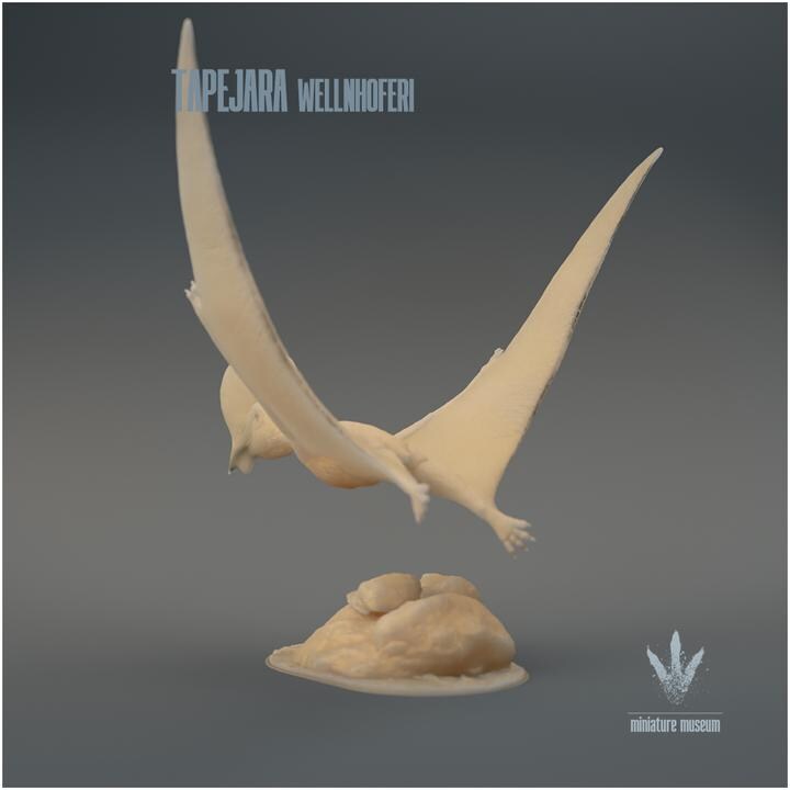 Tapejara wellnhoferi : Flying - UNPAINTED - Miniature Museum