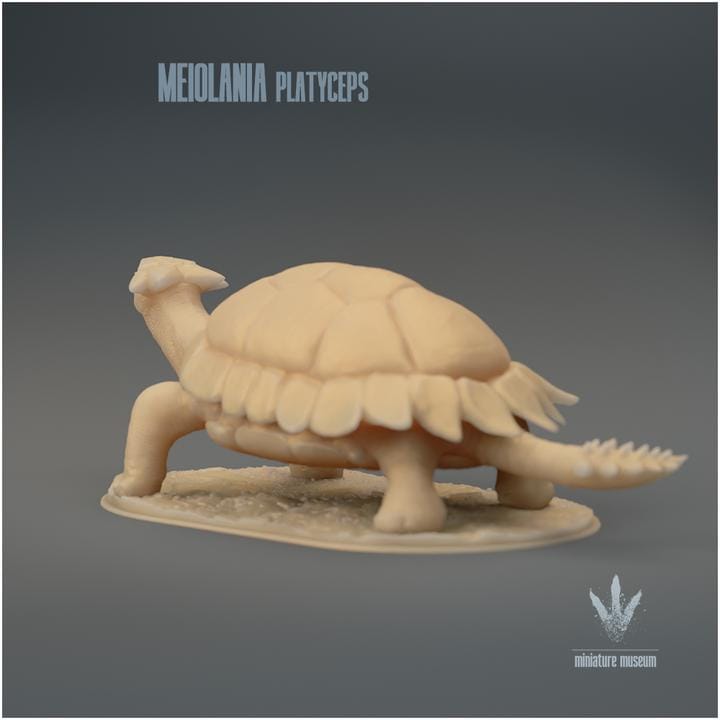 Meiolania platyceps : The Tank Turtle - UNPAINTED - Miniature Museum