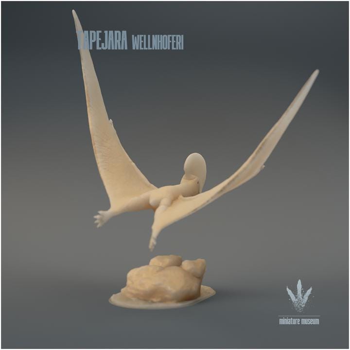 Tapejara wellnhoferi : Flying - UNPAINTED - Miniature Museum