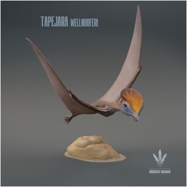 Tapejara wellnhoferi : Flying - UNPAINTED - Miniature Museum