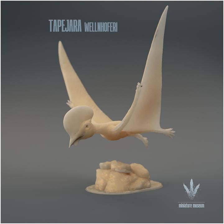 Tapejara wellnhoferi : Flying - UNPAINTED - Miniature Museum