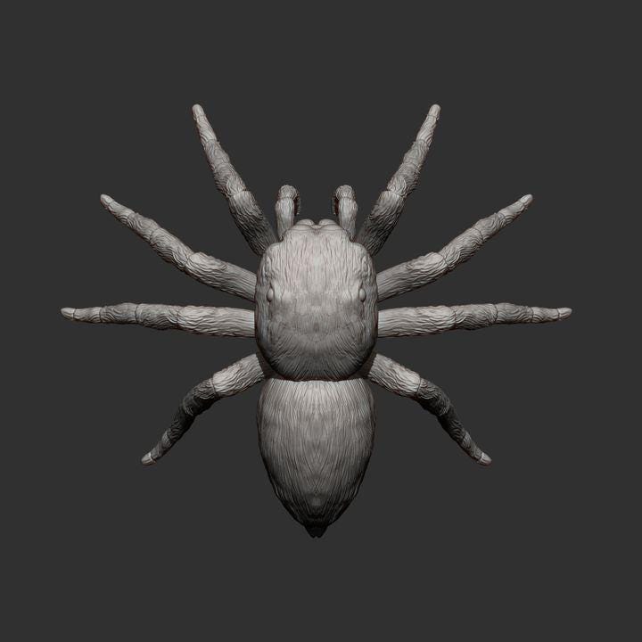 Jumping spider - UNPAINTED - Alexander3dart