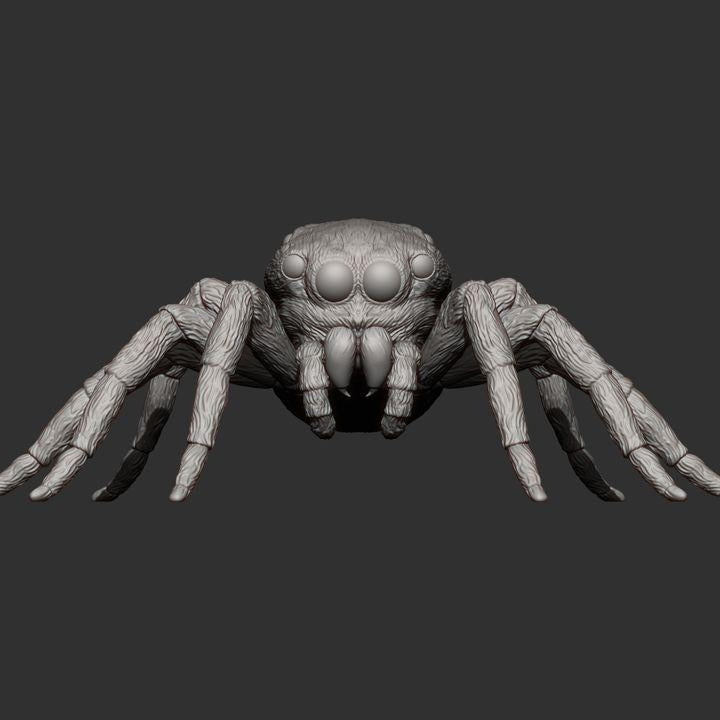 Jumping spider - UNPAINTED - Alexander3dart