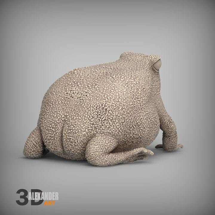 Rain Frog - UNPAINTED - Alexander3dart