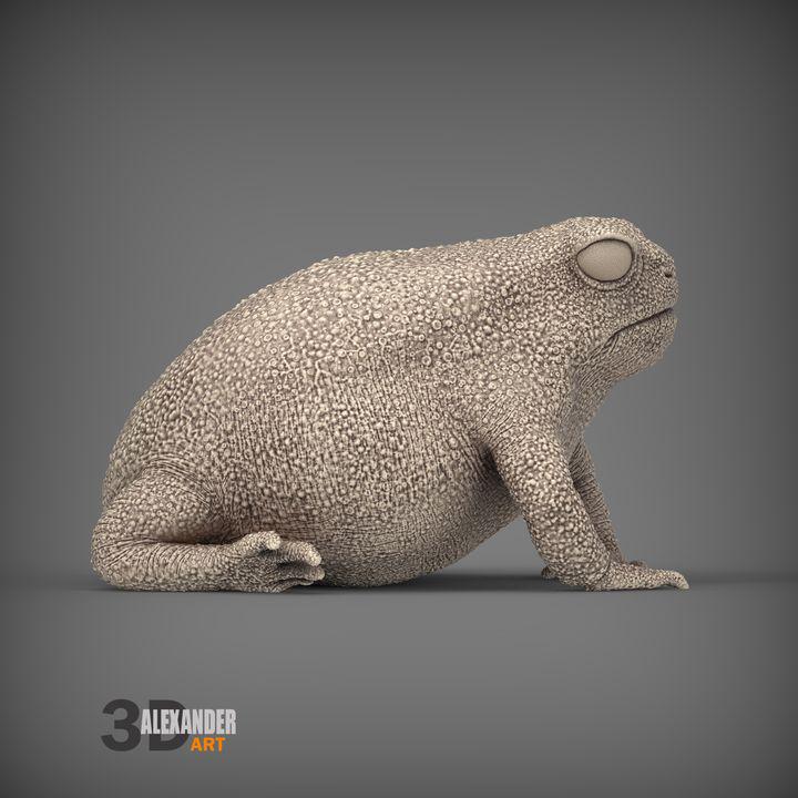 Rain Frog - UNPAINTED - Alexander3dart
