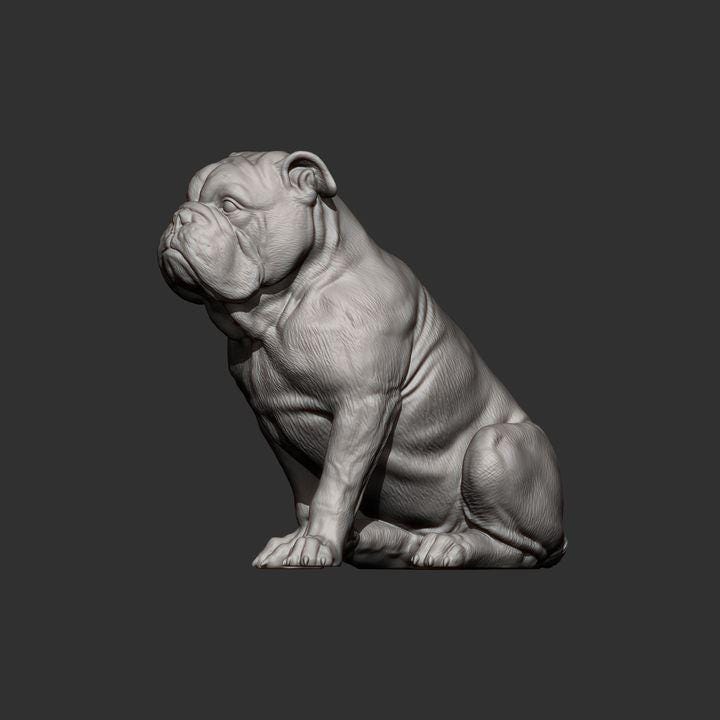 English Bulldog - UNPAINTED - Alexander3dart