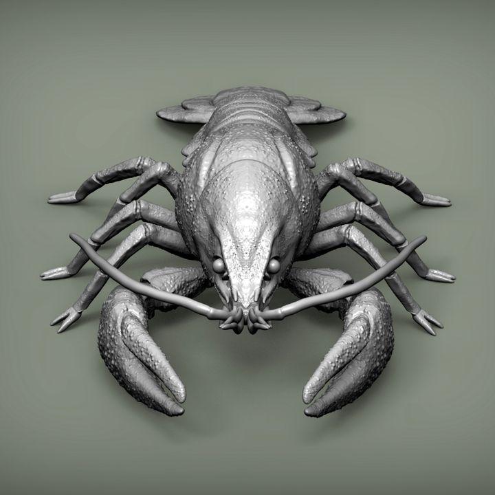 Crayfish - UNPAINTED - Alexander3dart
