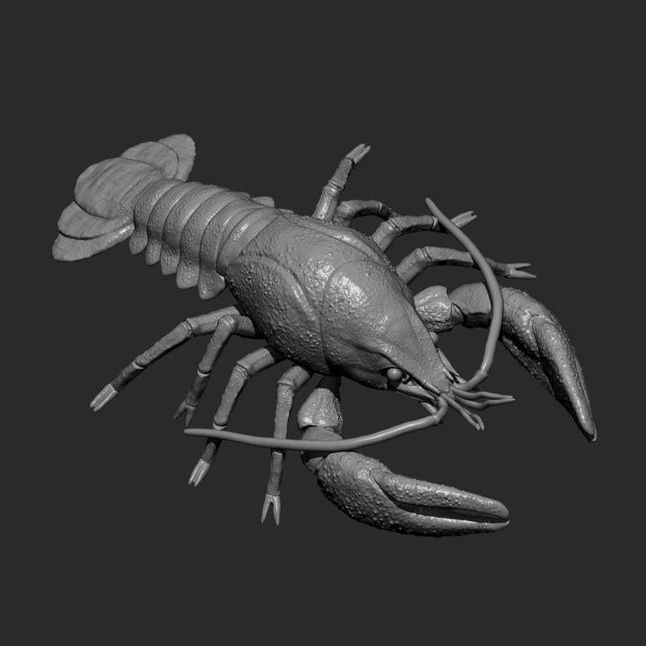 Crayfish - UNPAINTED - Alexander3dart