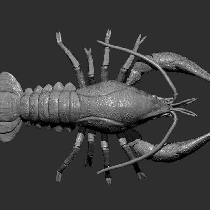 Crayfish - UNPAINTED - Alexander3dart