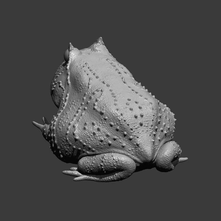 Slingshot frog - UNPAINTED - Alexander3dart
