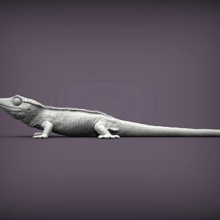 Eyelash banana gecko - UNPAINTED - Alexander3dart