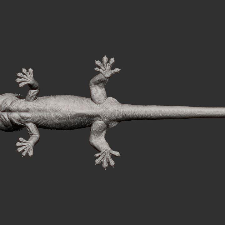 Eyelash banana gecko - UNPAINTED - Alexander3dart