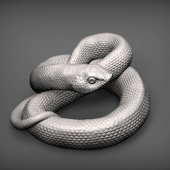 Hognose Snake - UNPAINTED - Alexander3dart