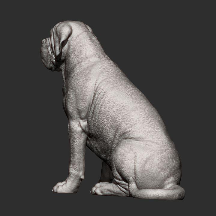 Mastiff - UNPAINTED 3D figure - Alexander3dart