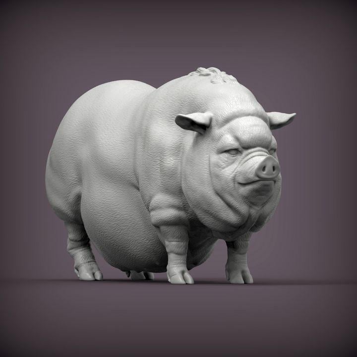 Vietnamese pig - UNPAINTED - Alexander3dart