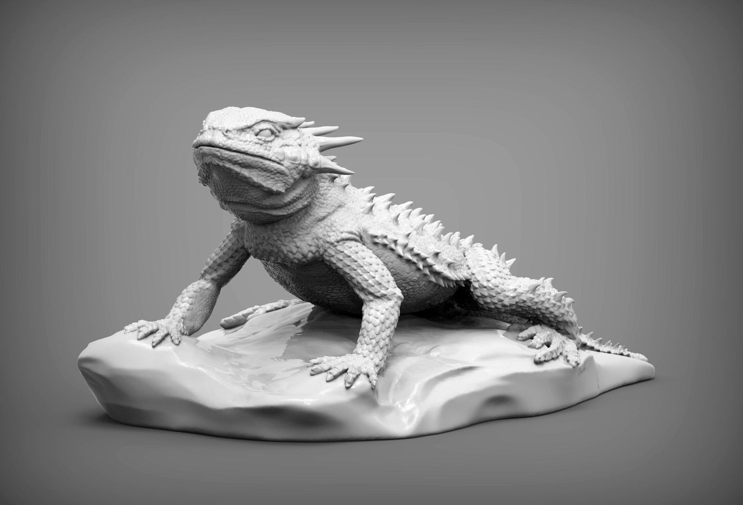 Flat-horned toad lizard - UNPAINTED - Alexander3dart