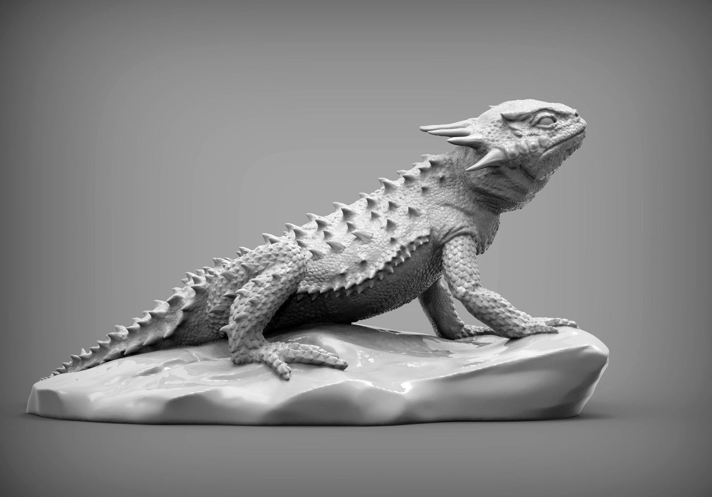 Flat-horned toad lizard - UNPAINTED - Alexander3dart