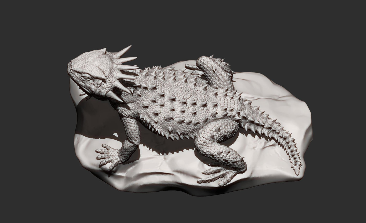 Flat-horned toad lizard - UNPAINTED - Alexander3dart