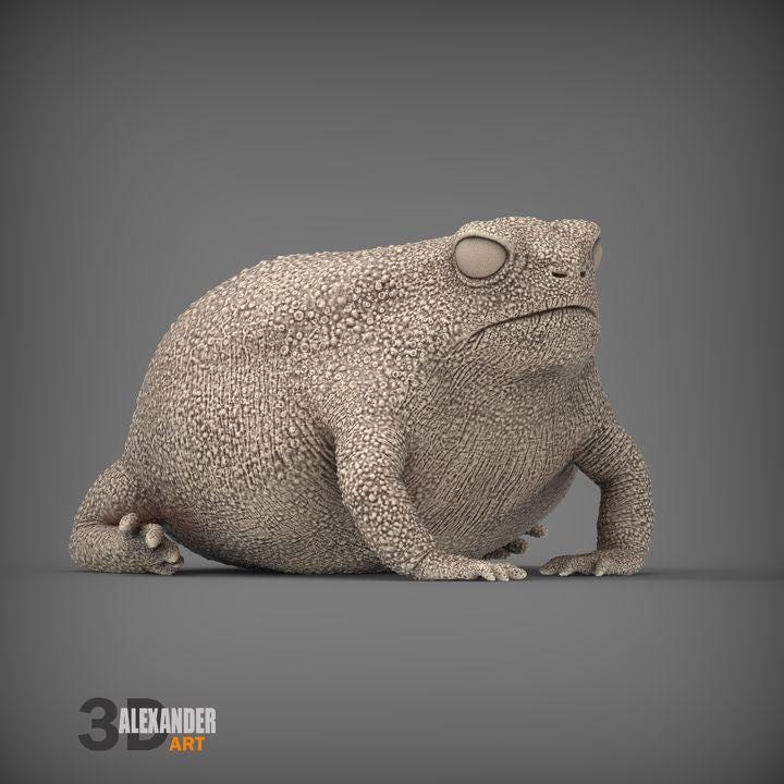 Rain Frog - UNPAINTED - Alexander3dart