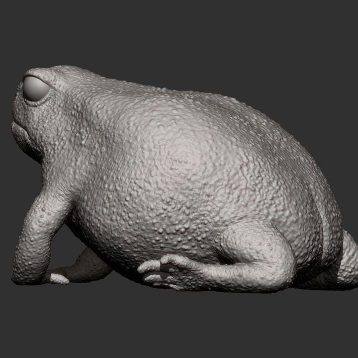 Rain Frog - UNPAINTED - Alexander3dart