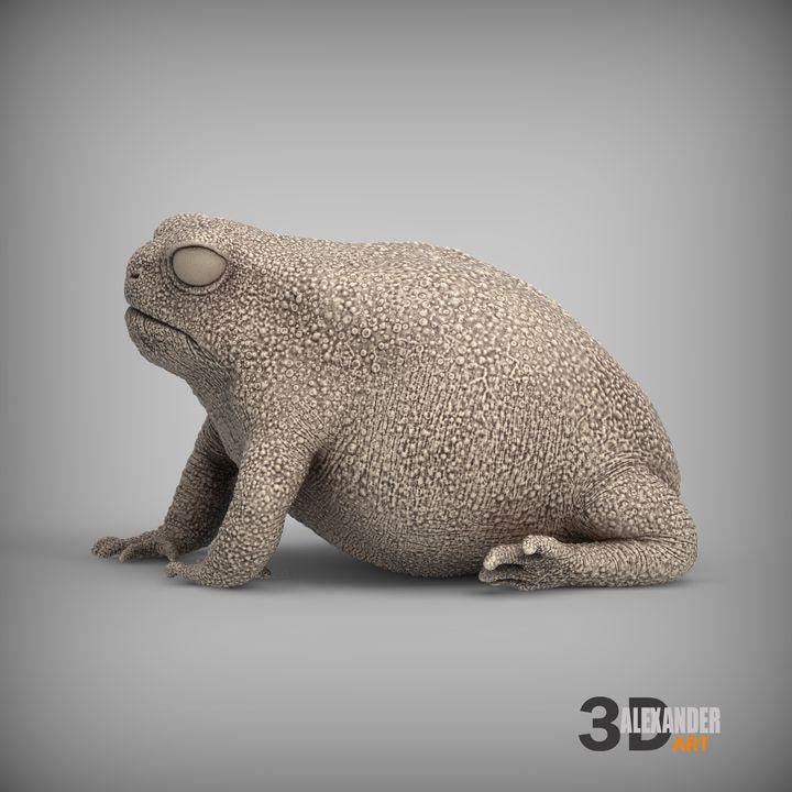 Rain Frog - UNPAINTED - Alexander3dart