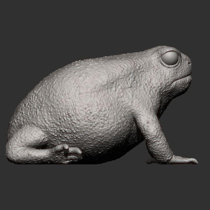 Rain Frog - UNPAINTED - Alexander3dart
