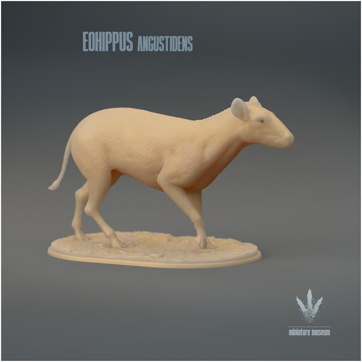 Eohippus angustidens Walking - UNPAINTED 3D Figurine - Miniature Museum
