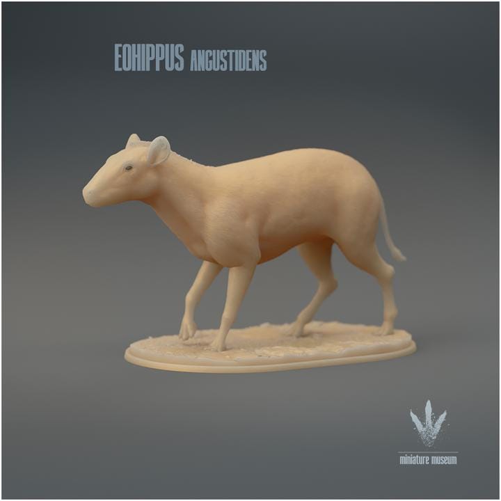 Eohippus angustidens Walking - UNPAINTED 3D Figurine - Miniature Museum